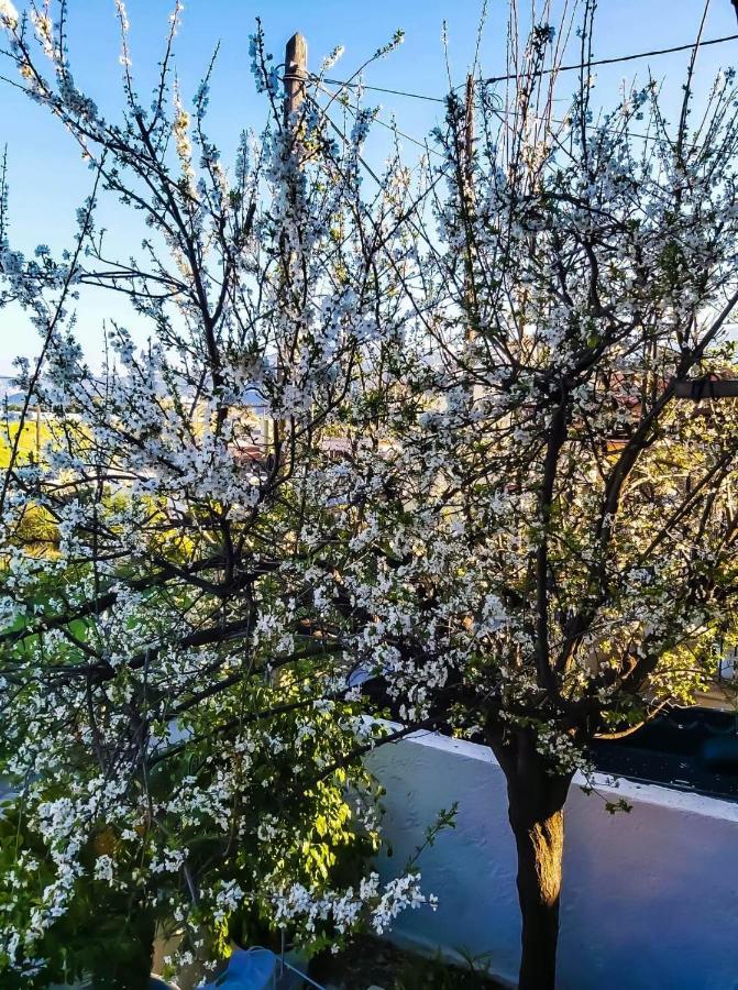 West Garden At Aigio By Greece Apartments Экстерьер фото